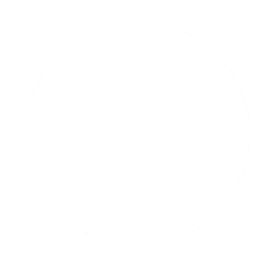 Air &mdash; a circle of drifting wind lines, the icon for the Air force cards in EscapeGravity